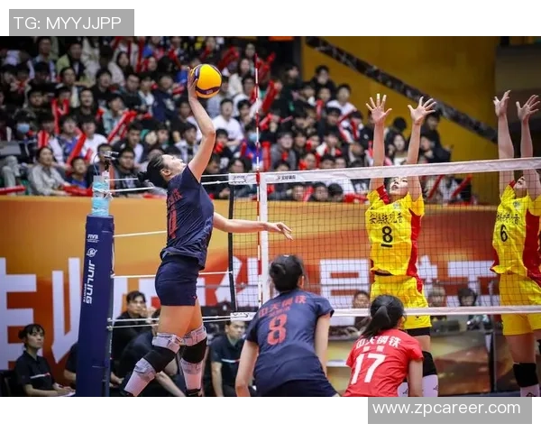 权威发布：2023年排球节奏实力榜单全面解析与深度解读